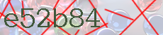 e52b84